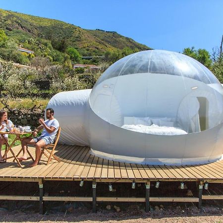 Bubbletent Canarias Finca La Isa Hotell Tejeda  Eksteriør bilde